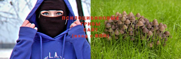 мяу мяу мука Краснослободск